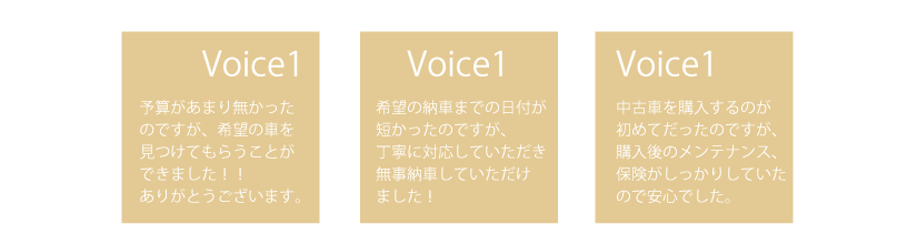 voice.png